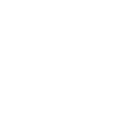 Dollar Icon